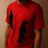 What Hugin Saw and Munin Said