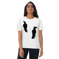 What Hugin Saw and Munin Said